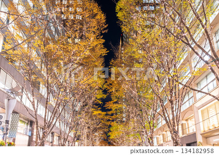 《東京》丸之內 / 冬季燈飾 《東京》丸之內 / 冬季燈飾 134182958