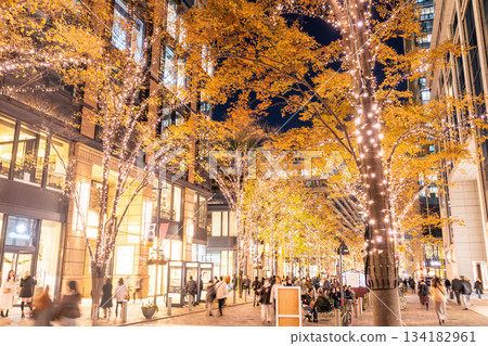 《Tokyo》 Marunouchi / Winter Illuminations 134182961