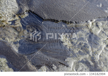 海邊和海浪的美麗和神秘。來來去去的波浪,水的圖案就像大地的呼吸。 海邊和海浪的美麗和神秘。來來去去的波浪,水的圖案就像大地的呼吸。 134182994