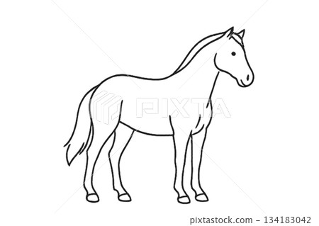 站立的馬肖像 站立的馬肖像 134183042