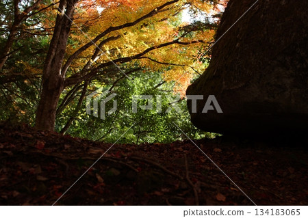 Tottori Shiki的步行秋天Ch訪Su訪神社 Tottori Shiki的步行秋天Ch訪Su訪神社 134183065