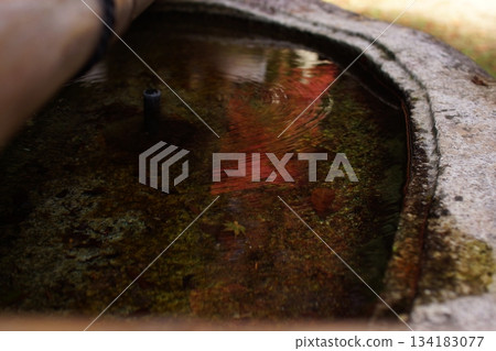 Tottori Shiki的步行秋天Ch訪Su訪神社 134183077