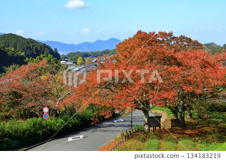 Asuka National Historical Park in autumn Asuka National Historical Park in autumn 134183219