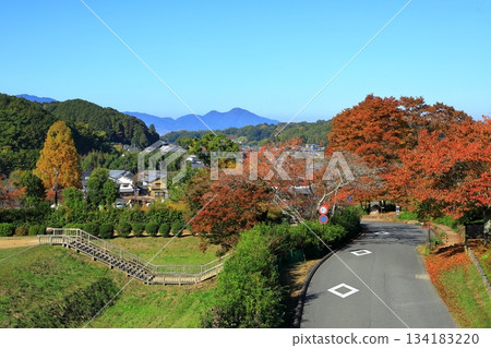 秋季的飛鳥國立歷史公園 134183220