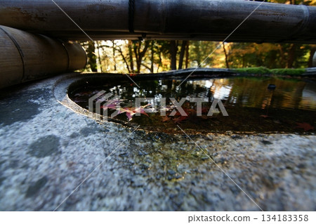 Tottori Shiki的步行秋天Ch訪Su訪神社 Tottori Shiki的步行秋天Ch訪Su訪神社 134183358