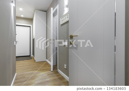 Modern Apartment Hallway with White Doors and Wooden Floor 134183603