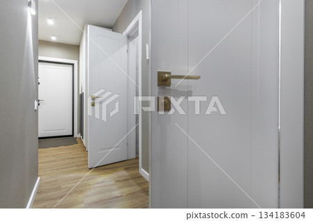 Modern Apartment Hallway with White Doors and Wooden Floor 134183604