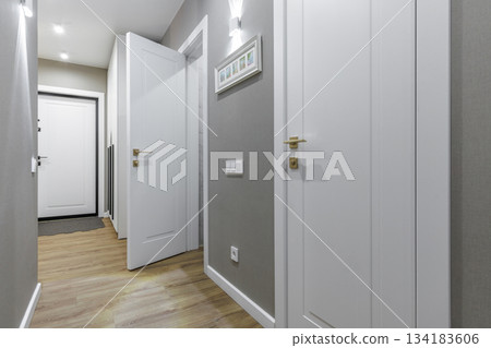 Modern Apartment Hallway with White Doors and Wooden Floor 134183606