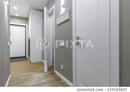 Modern Apartment Hallway with White Doors and Wooden Floor 134183607