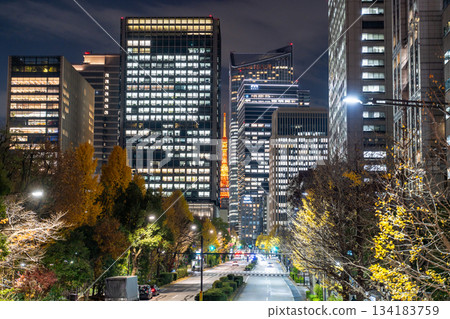 “東京”東京市中心和辦公區的夜景 “東京”東京市中心和辦公區的夜景 134183759