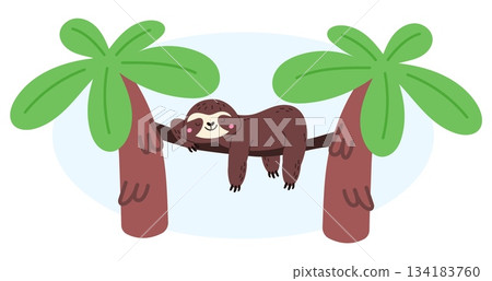 Cute cartoon sloth sleeps on branch or vine between two palm in jungle. Sleepy animal lying on hammock and napping. Beach relaxation. Mammal recreation on liana. Vector lazy character 134183760