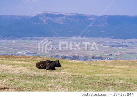 Aso Ranch, Kumamoto Prefecture 134183844