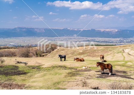 阿蘇牧場，熊本縣 134183878
