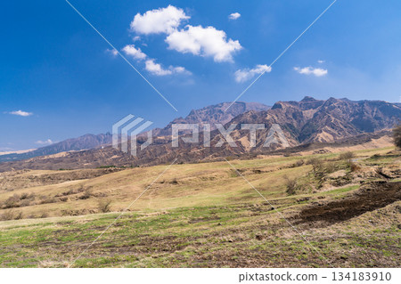 熊本縣阿蘇草原風光 134183910