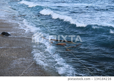 漂流木 漂流木 134184216
