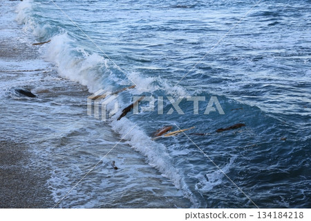 漂流木 漂流木 134184218