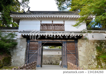 Obi Castle Main Gate 134184260