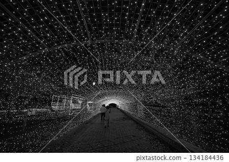 敦賀金崎綠地的日落 134184436