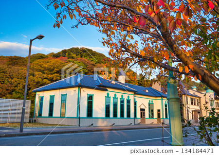 敦賀金崎綠地的日落 134184471