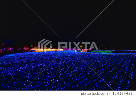 敦賀金崎綠地的日落 敦賀金崎綠地的日落 134184481