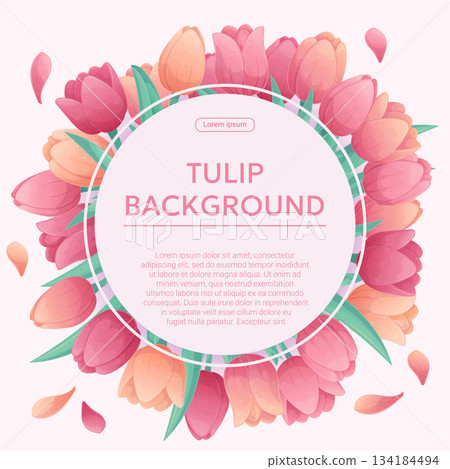 Colorful background with delicate tulips. The concept of a holiday, spring, women's day, Valentine's day. Vector illustration for the design of posters, flyers, postcards and invitations 134184494