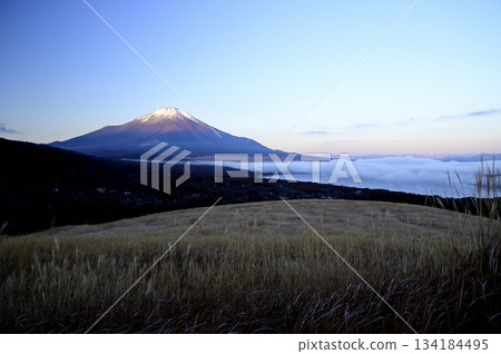 November, dawn over Mt. Fuji (Photo taken near Myojinyama Panorama, Yamanakako Village) 134184495