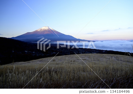 November, dawn over Mt. Fuji (Photo taken near Myojinyama Panorama, Yamanakako Village) 134184496
