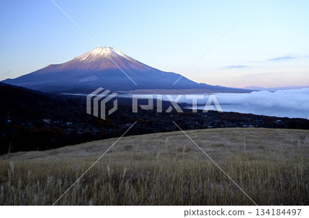 November, dawn over Mt. Fuji (Photo taken near Myojinyama Panorama, Yamanakako Village) 134184497