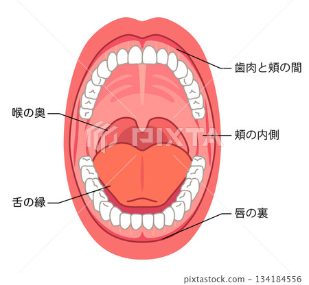 口腔炎易發部位：口腔內部、醫療護理 134184556