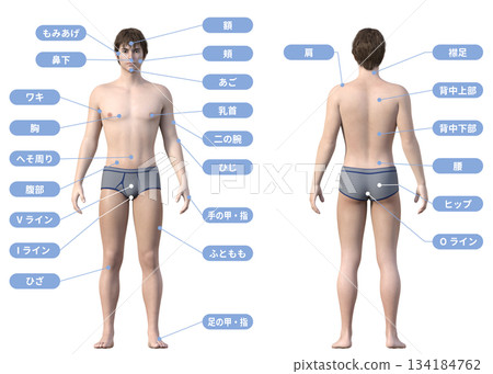 除毛,男士美容院,男士除毛治療區域的3D插圖,全身,正面,背面視圖 除毛,男士美容院,男士除毛治療區域的3D插圖,全身,正面,背面視圖 134184762