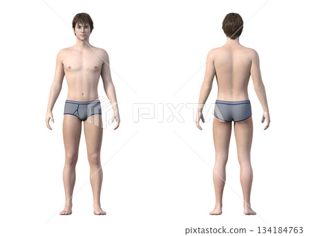 3D illustration set of a young man in underwear, front and back view 134184763