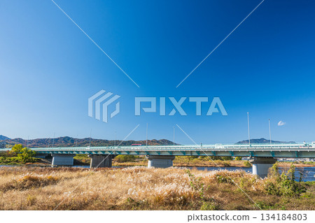 西大橋，一座橫跨桂川的公路橋，位於京都市 134184803