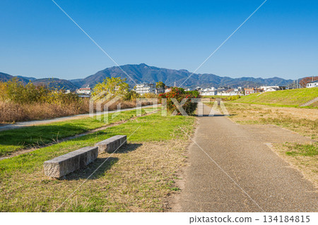 京都桂川河畔風光 134184815