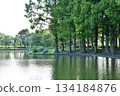 A beautiful fishing pond in Kitamoto General Park 134184876