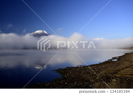 十一月清晨的富士山(照片攝於長池水上樂園附近的山中湖) 十一月清晨的富士山(照片攝於長池水上樂園附近的山中湖) 134185394