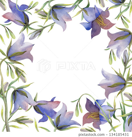 A square frame with bluebell flowers, buds and green leaves. Watercolor illustration in natural colors. A botanical template with wildflowers and an empty place to insert. For business cards A square frame with bluebell flowers, buds and green leaves. Watercolor illustration in natural colors. A botanical template with wildflowers and an empty place to insert. For business cards 134185431