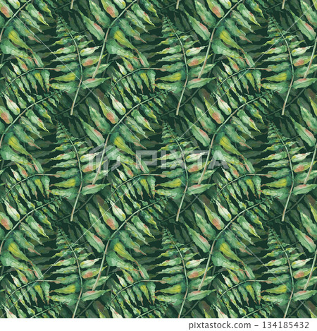 Watercolor seamless pattern with green fern branches. Botanical illustration of a forest plant on a dark green background. Realistic image for decoration of forest themes, packaging, textiles 134185432