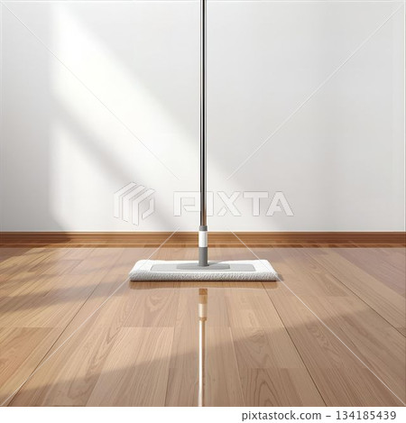 清潔：地板和拖把 134185439