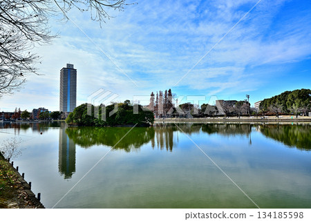Ukima Park in late autumn: Ukima Pond and tower apartments Ukima Park in late autumn: Ukima Pond and tower apartments 134185598