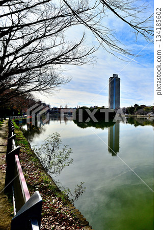 深秋的烏基馬公園：烏基馬池塘與塔樓公寓 134185602