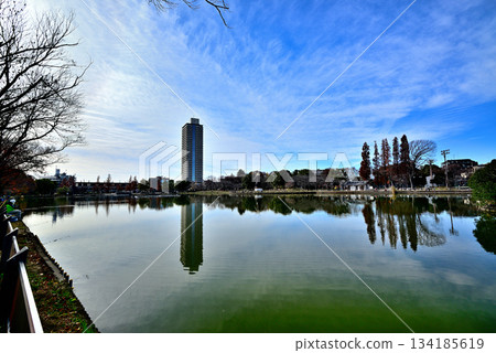深秋的烏基馬公園:烏基馬池塘與塔樓公寓 深秋的烏基馬公園:烏基馬池塘與塔樓公寓 134185619