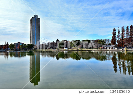 Ukima Park in late autumn: Ukima Pond and tower apartments Ukima Park in late autumn: Ukima Pond and tower apartments 134185620