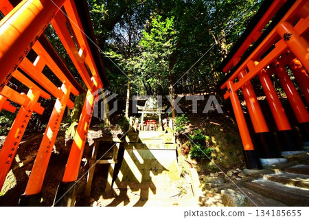Kyoto Prefecture, Fushimi Inari Taisha Shrine, Senbon Torii (near Mitsutsuji), Fukakusa Yabunouchicho, Fushimi Ward, Kyoto City, February 2022 Kyoto Prefecture, Fushimi Inari Taisha Shrine, Senbon Torii (near Mitsutsuji), Fukakusa Yabunouchicho, Fushimi Ward, Kyoto City, February 2022 134185655
