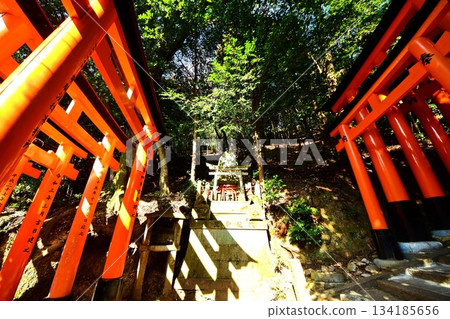 Kyoto Prefecture, Fushimi Inari Taisha Shrine, Senbon Torii (near Mitsutsuji), Fukakusa Yabunouchicho, Fushimi Ward, Kyoto City, February 2022 Kyoto Prefecture, Fushimi Inari Taisha Shrine, Senbon Torii (near Mitsutsuji), Fukakusa Yabunouchicho, Fushimi Ward, Kyoto City, February 2022 134185656