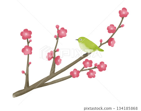 A festive illustration of red plum blossoms and a Japanese white-eye 134185868