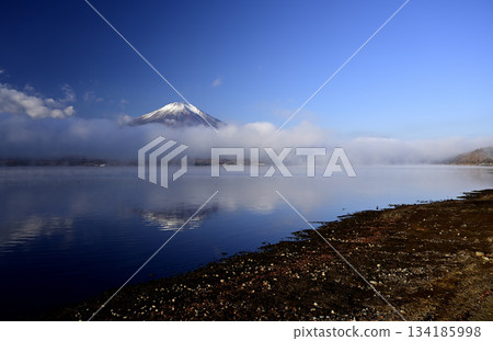 十一月清晨的富士山(照片攝於長池水上樂園附近的山中湖) 十一月清晨的富士山(照片攝於長池水上樂園附近的山中湖) 134185998