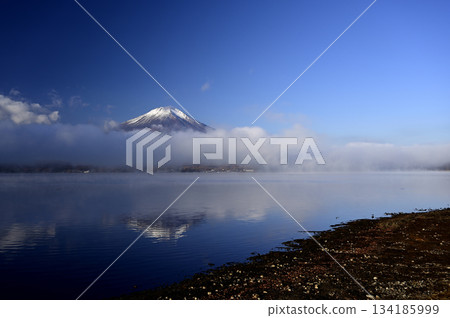 十一月清晨的富士山(照片攝於長池水上樂園附近的山中湖) 十一月清晨的富士山(照片攝於長池水上樂園附近的山中湖) 134185999