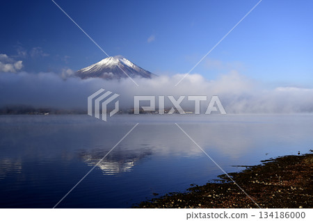 十一月清晨的富士山(照片攝於長池水上樂園附近的山中湖) 十一月清晨的富士山(照片攝於長池水上樂園附近的山中湖) 134186000
