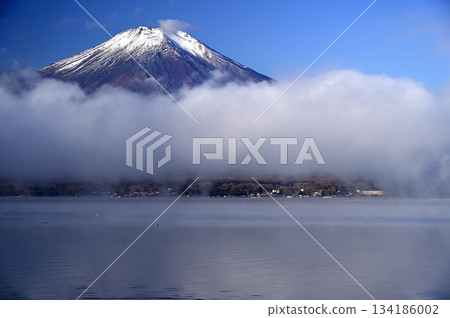 十一月清晨的富士山（照片攝於長池水上樂園附近的山中湖） 134186002