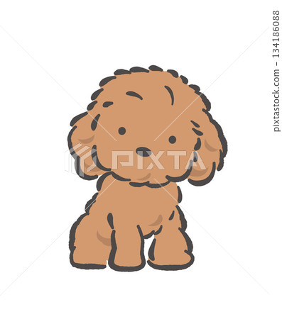 可愛的貴賓犬向量圖 可愛的貴賓犬向量圖 134186088